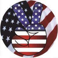 12'' Slipmat - Flag US Patriot 5 