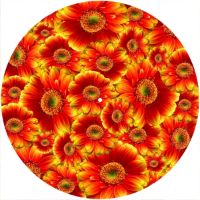 12'' Slipmat - Flower Power 2 