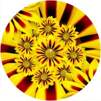 12'' Slipmat - Flower Power 8 