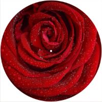 12'' Slipmat - Flower Rose Wet 
