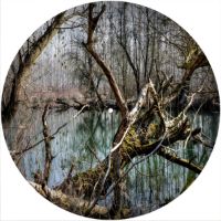 12'' Slipmat - Forest 1 