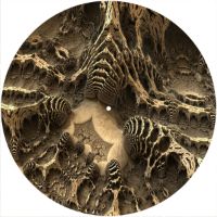 12'' Slipmat - Fractal 20 