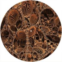 12'' Slipmat - Fractal 21 