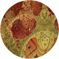 12'' Slipmat - Fractal 24 