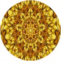 12'' Slipmat - Geometry 8 