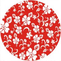 12'' Slipmat - Hawaiian Print RD 