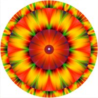 12'' Slipmat - Kaleidoscope 11 