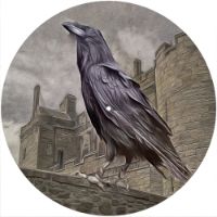 12'' Slipmat - King Crow 