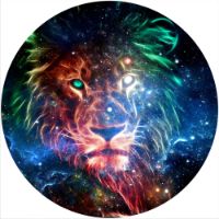 12'' Slipmat - Lion Galaxy 