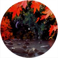 12'' Slipmat - Maple River 
