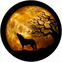 12'' Slipmat - Mojo Moon 2 