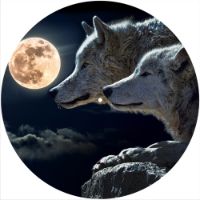 12'' Slipmat - Mojo Moon 3 
