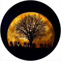 12'' Slipmat - Moon Gathering 