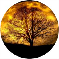 12'' Slipmat - Moon Tree 