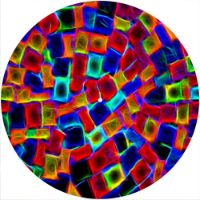 12'' Slipmat - Neon Blocks 
