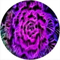 12'' Slipmat - Neon Rose 