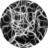 12'' Slipmat - Network 1 