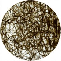 12'' Slipmat - Network 4 