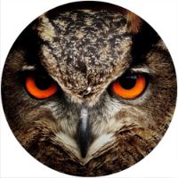 12'' Slipmat - Owl 1 