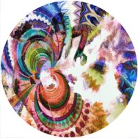12'' Slipmat - Painting 14 