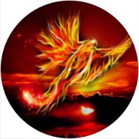 12'' Slipmat - Phoenix 1 