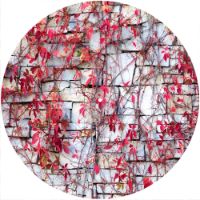12'' Slipmat - Pink Ivy 