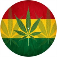12'' Slipmat - Rasta 1 