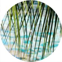 12'' Slipmat - Reeds 1 