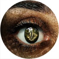12'' Slipmat - Reptilian Eye 