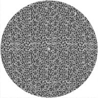 12'' Slipmat - Scales BW 