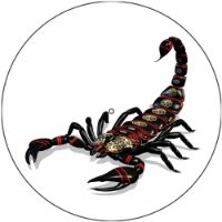 12'' Slipmat - Scorpion 