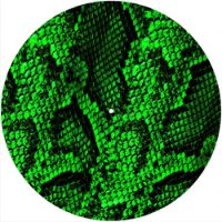 12'' Slipmat - Snake Skin GR 