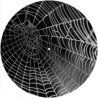 12'' Slipmat - Spider Web Wet 1 