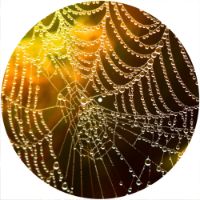 12'' Slipmat - Spider Web Wet 2 