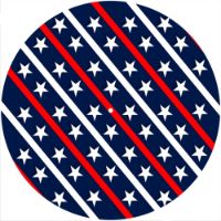 12'' Slipmat - Stars And Stripes 1 
