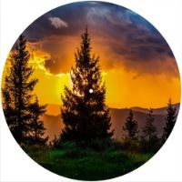 12'' Slipmat - Sunset Tree 3 