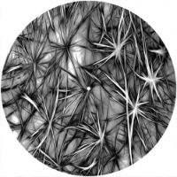 12'' Slipmat - Texture 3 