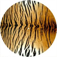 12'' Slipmat - Tiger Print 