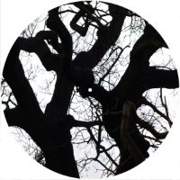 12'' Slipmat - Tree Branches 