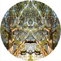 12'' Slipmat - Tree Effect 1 