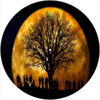 12'' Slipmat - Tree Moon 