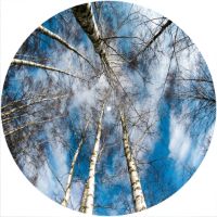 12'' Slipmat - Trees 2 