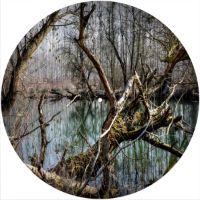 12'' Slipmat - True Forest 1 