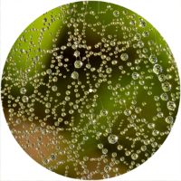 12'' Slipmat - Water Droplets 