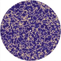 12'' Slipmat - Wild Plasma 1 