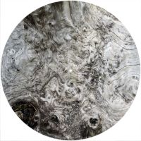 12'' Slipmat - Wood Texture Burl 1 