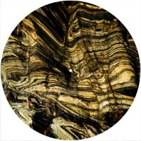12'' Slipmat - Wood Texture Yellow Grain 