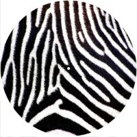 12'' Slipmat - Zebra 